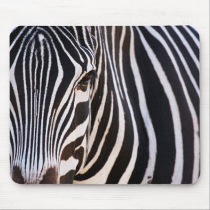 Mousepad Onde Está A Zebra?