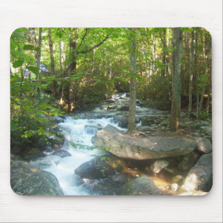 Mousepad Opinião cénico do parque de Tennessee Great Smoky