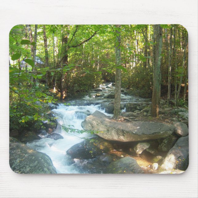 Mousepad Opinião cénico do parque de Tennessee Great Smoky (Frente)