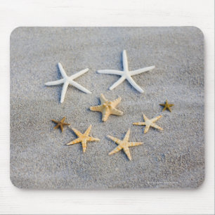 Mousepad Opinião de ângulo alto uma estrela do mar na pra