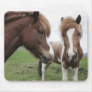 Mousepad Opinião o cavalo, fim-acima
