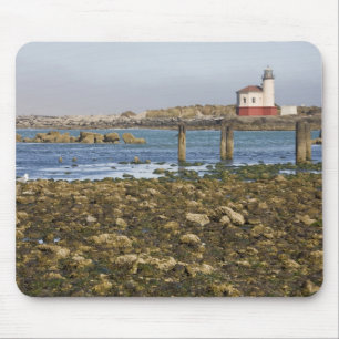Mousepad OR, Costa do Oregon, Bandon, Rio Coquille