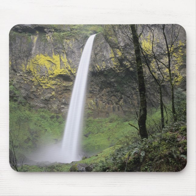 Mousepad OR, Desfiladeiro do Rio Columbia, Elowah Falls, Mc (Frente)