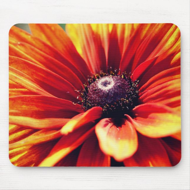 Mousepad Orange Black Eyed Susan Daisy Flower (Frente)