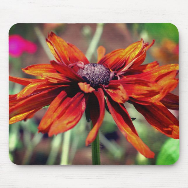Mousepad Orange Black Eyed Susan Flower (Frente)