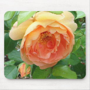 Mousepad Orange Blush Rose