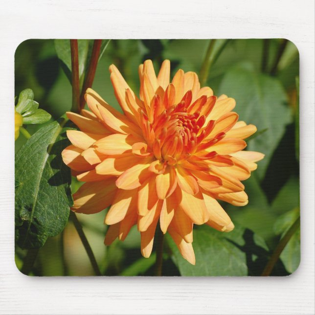 Mousepad Orange Dahlie mit Knospe und Blätter (Frente)