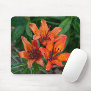Mousepad Orange Daylily Fotografia, Beleza Canadiana