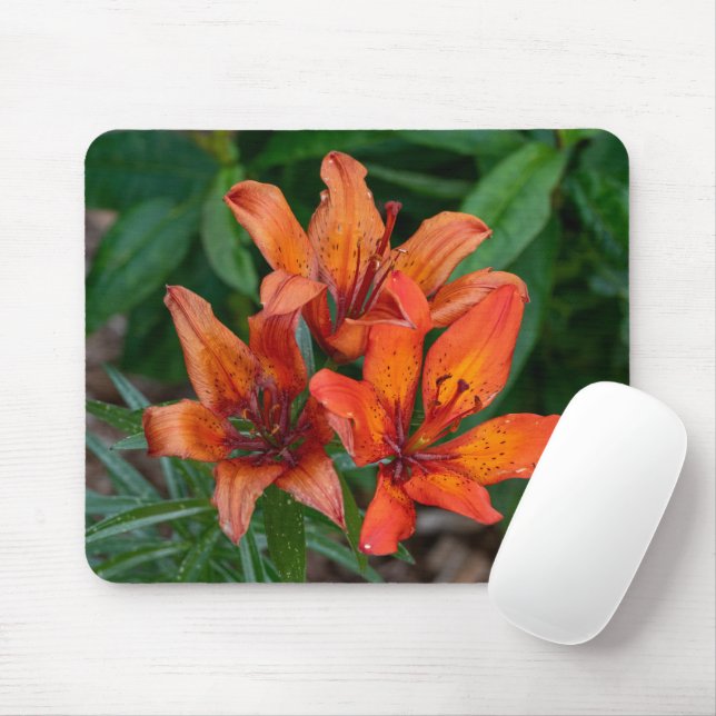 Mousepad Orange Daylily Fotografia, Beleza Canadiana (Com mouse)