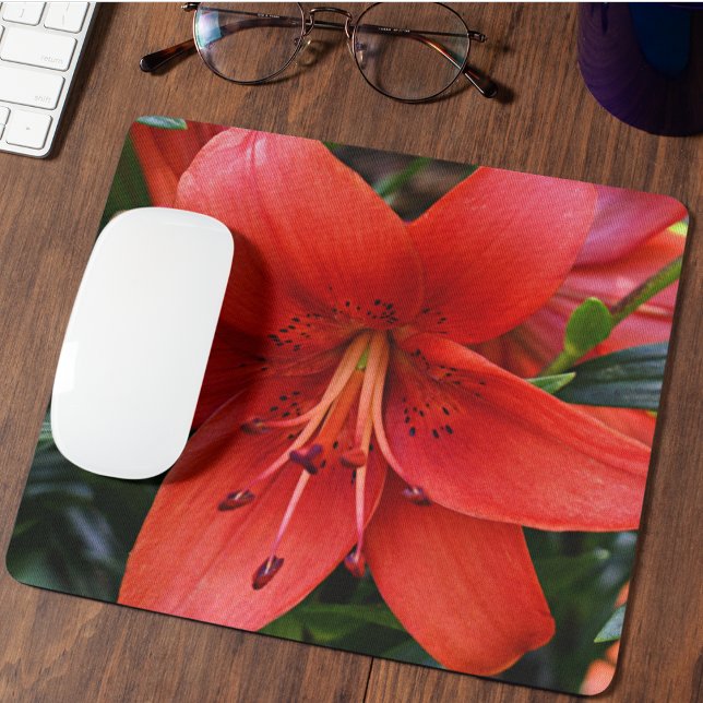 Mousepad Orange Lily Bloom Floral (In Situ)