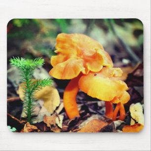 Mousepad Orange Mushroom Nature