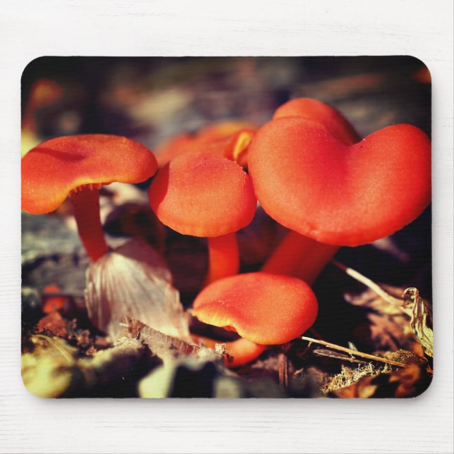 Mousepad Orange Red Mushroom Nature (Frente)