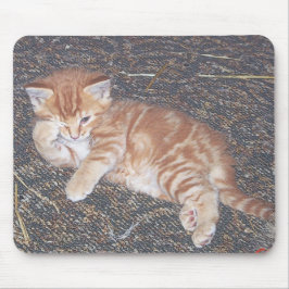 Mousepad Orange Tabby Kitten