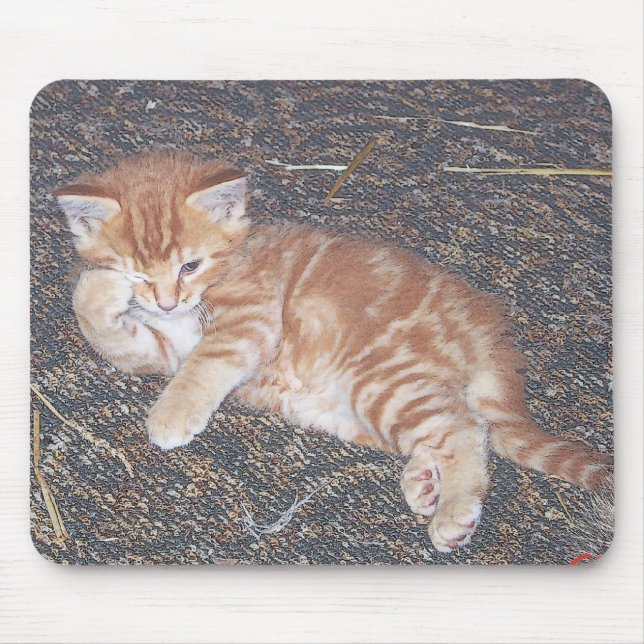 Mousepad Orange Tabby Kitten (Frente)
