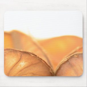 Mousepad Orangene Frucht