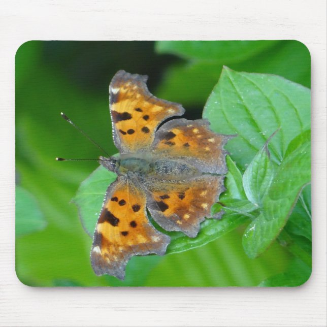 Mousepad Oranger Schmetterling (Frente)