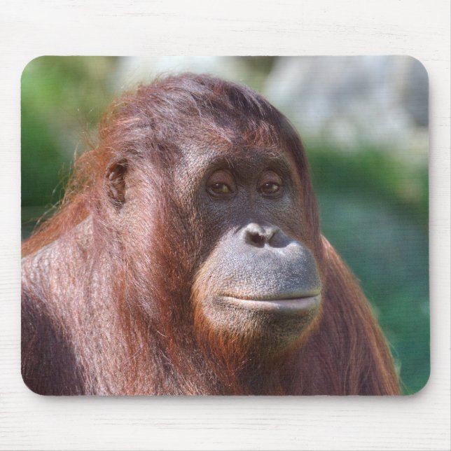Mousepad Orangutan Lady (Frente)