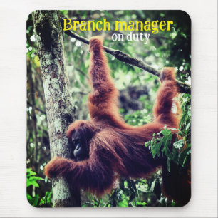 Mousepad Orangutan pendurado na árvore