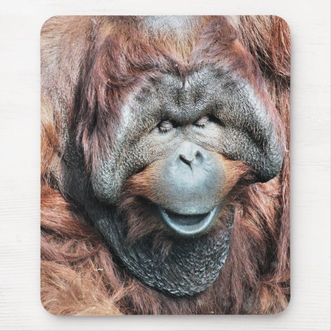 MOUSEPAD ORANGUTANOS (Frente)