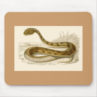 Mousepad Orbigny - Víbora Chorada - Cerastes cornutus
