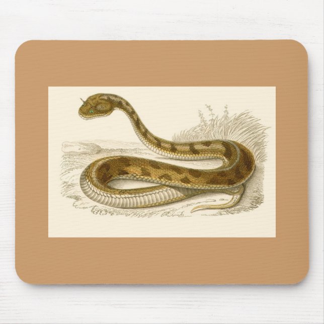Mousepad Orbigny - Víbora Chorada - Cerastes cornutus (Frente)