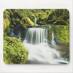 Mousepad Oregon, Cachoeira no parque nacional Willamette