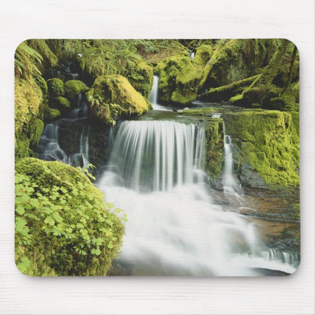 Mousepad Oregon, Cachoeira no parque nacional Willamette (Frente)