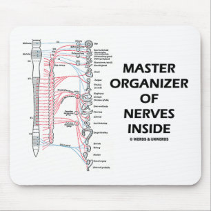 Mousepad Organizador mestre do interior dos nervos (autonó