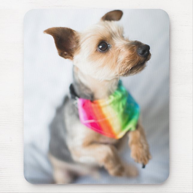 Mousepad Orgulho gay Rainbow Dog | Yorkshire Terrier (Frente)