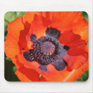 Mousepad Oriental Poppy Flower