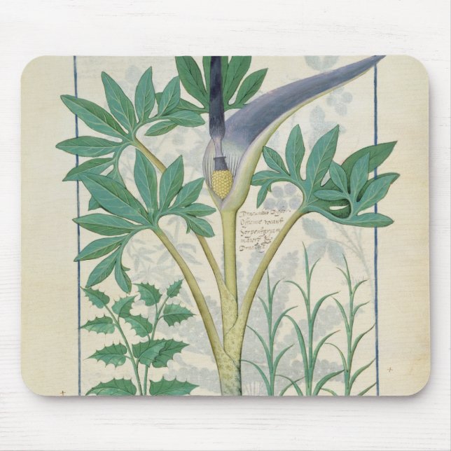 Mousepad Orquídea (Frente)