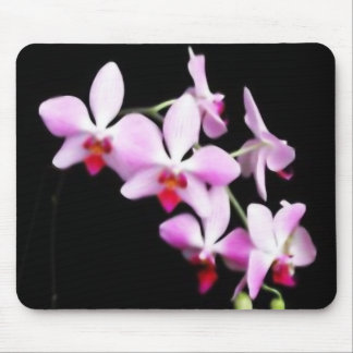 Mousepad Orquídea