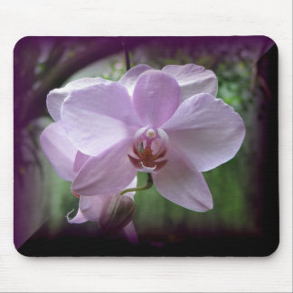 Mousepad Orquídea