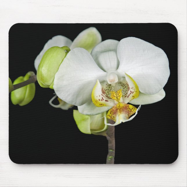 Mousepad Orquídea branca (Frente)