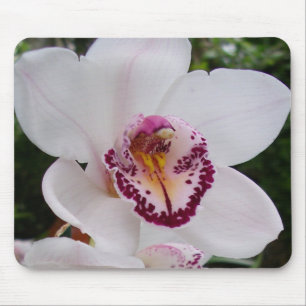Mousepad Orquídea Branca I Linda Flor Tropical