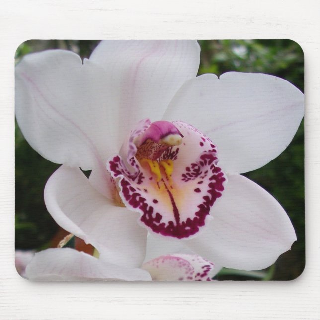 Mousepad Orquídea Branca I Linda Flor Tropical (Frente)