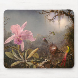 Mousepad Orquídea Cattleya e três beija-flores