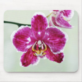 Mousepad Orquídea cor-de-rosa