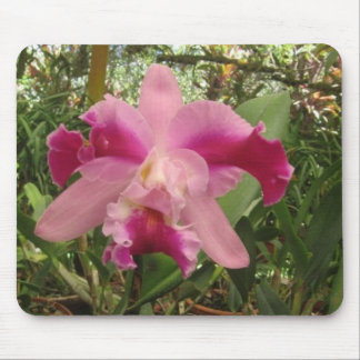 Mousepad Orquídea de Rican da costela