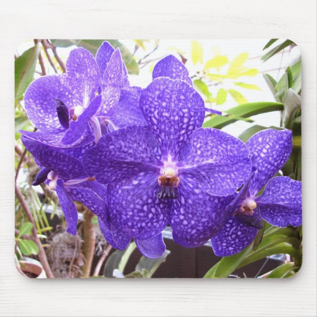 Mousepad Orquídea de Vanda Pachara (Frente)