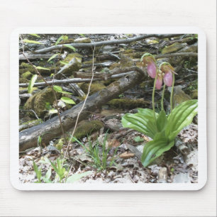 Mousepad Orquídea do escorregador rosa