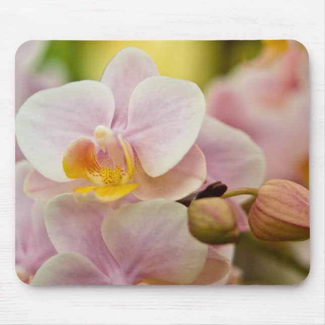 Mousepad Orquídea do Phalaenopsis (Frente)