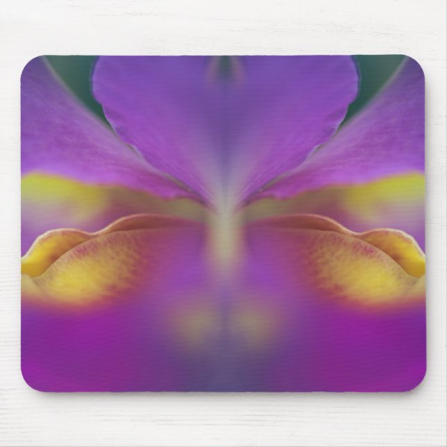 Mousepad Orquídea híbrida, Flórida 2 (Frente)