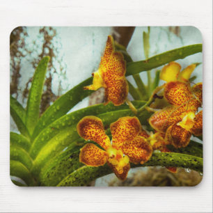 Mousepad Orquídea - Oncidium - Ripendo