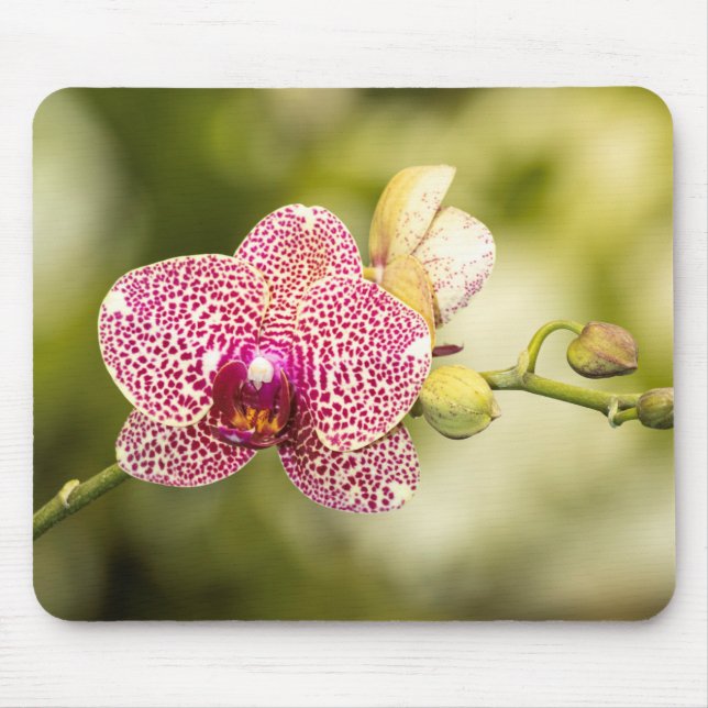 Mousepad Orquídea rosa (Frente)