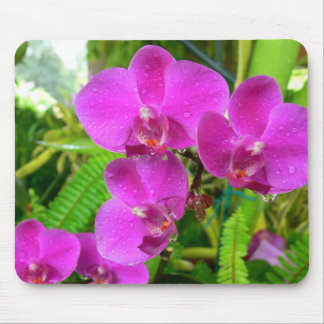 Mousepad Orquídea roxa