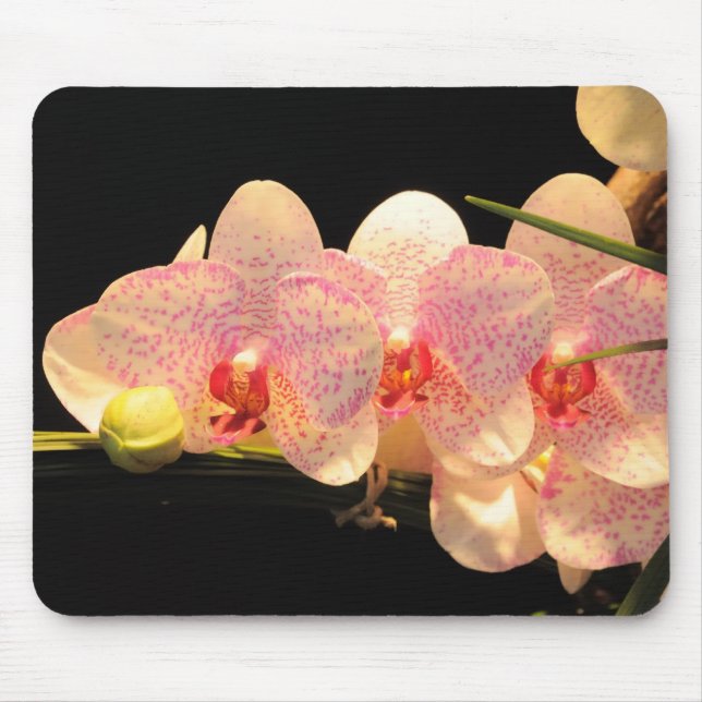 Mousepad orquídeas (Frente)