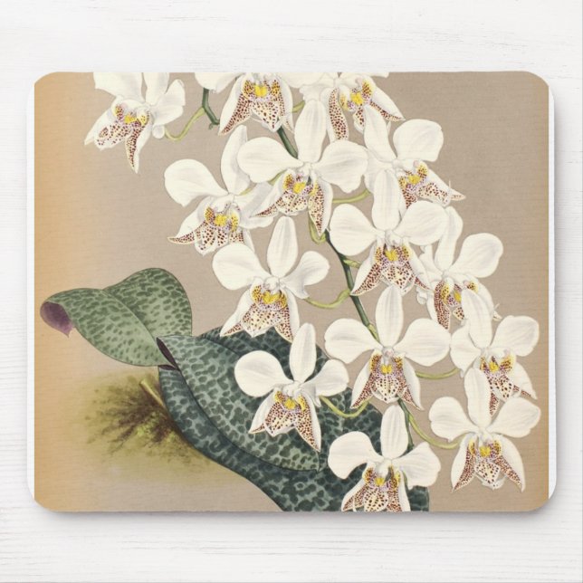 Mousepad Orquídeas (Frente)
