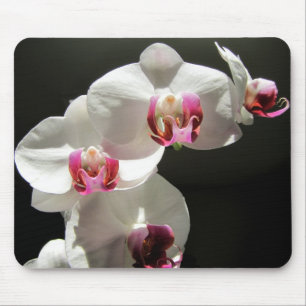 Mousepad Orquídeas