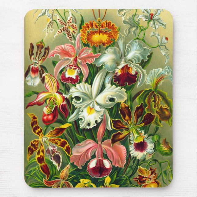 Mousepad Orquídeas (Frente)